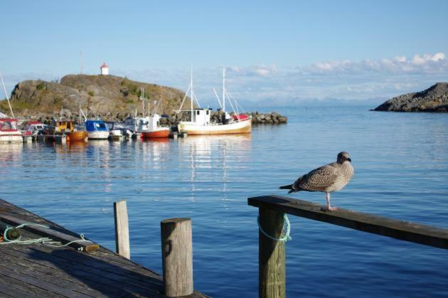 Lofoten Cabin And Kayak Rental Stamsund Exterior photo